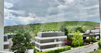 von_poll_real_estate_property_202344117_image_11