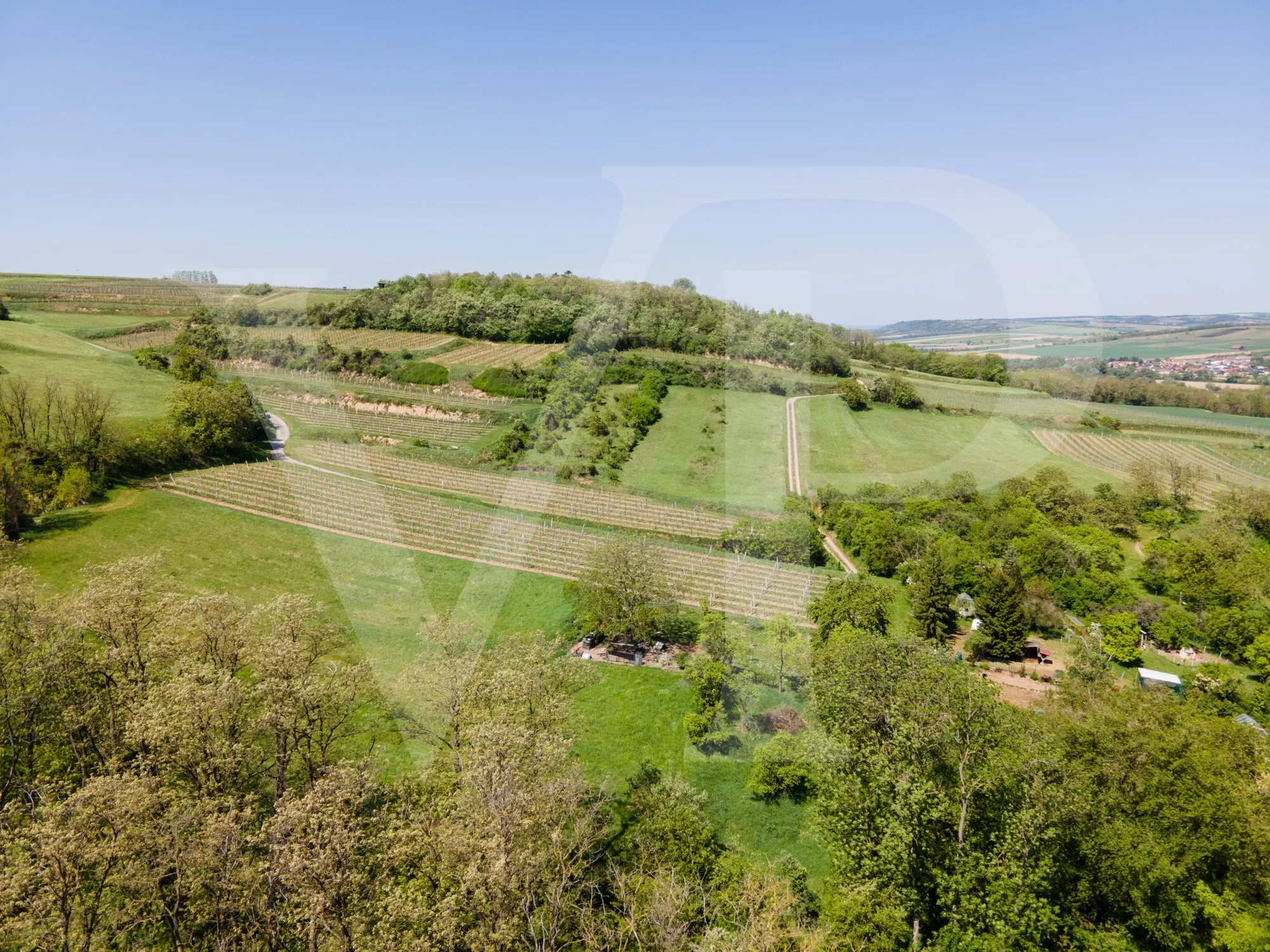 8700 m² of absolute peace and discretion, 35 minutes from St. Stephen's Cathedral