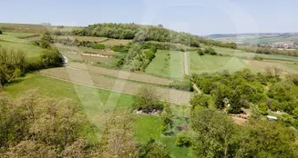 von_poll_real_estate_property_20243449900_image_13