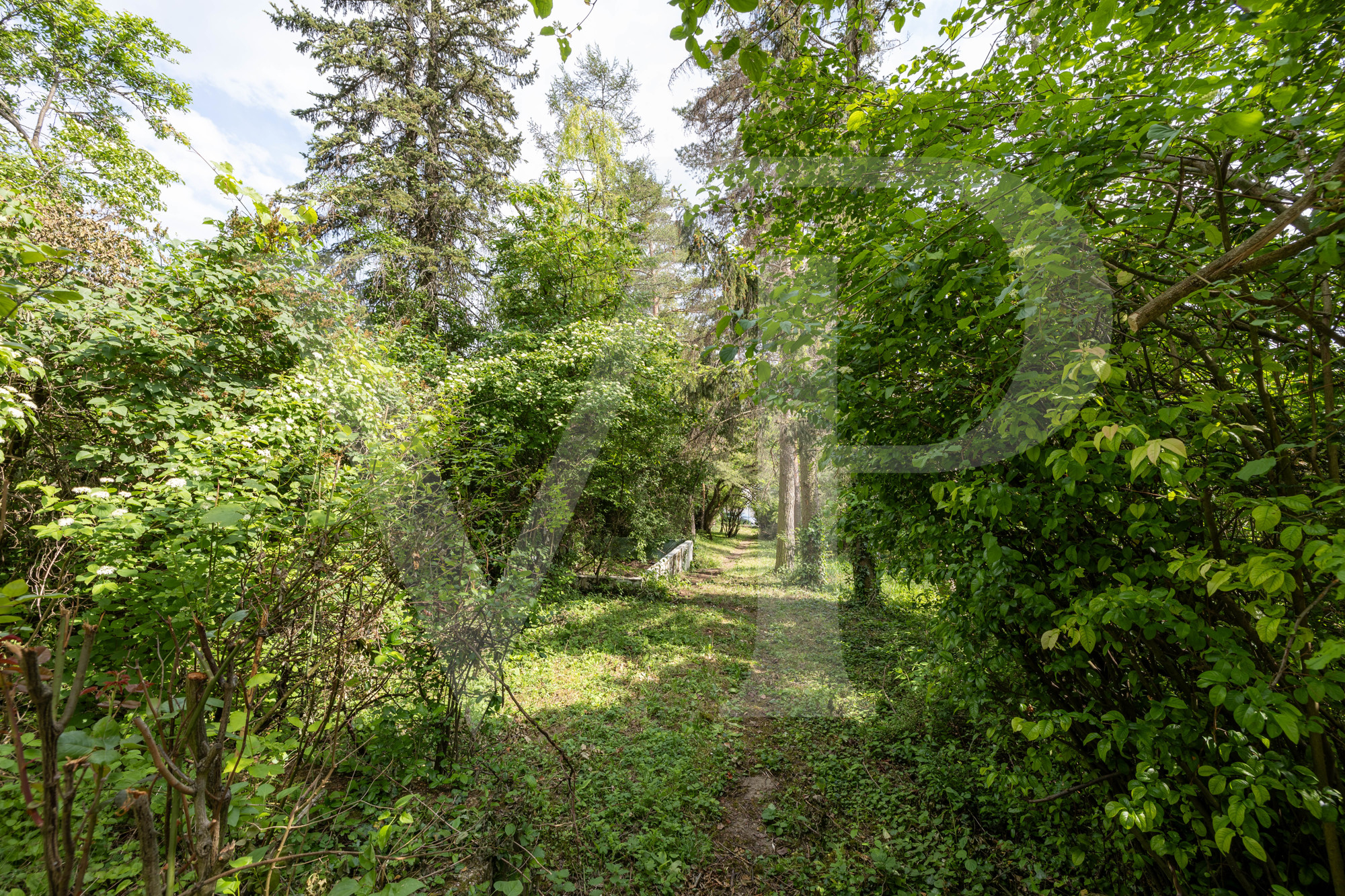 Uneinsichtige Traumlage mit Weitblick am Ölberg