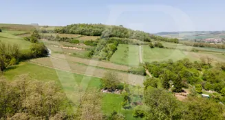 von_poll_real_estate_property_2024344920_image_13