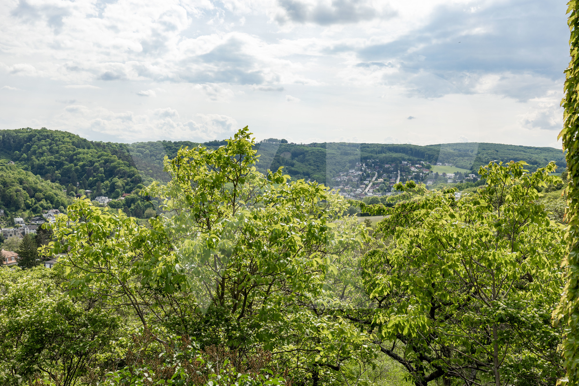 Uneinsichtige Traumlage mit Weitblick