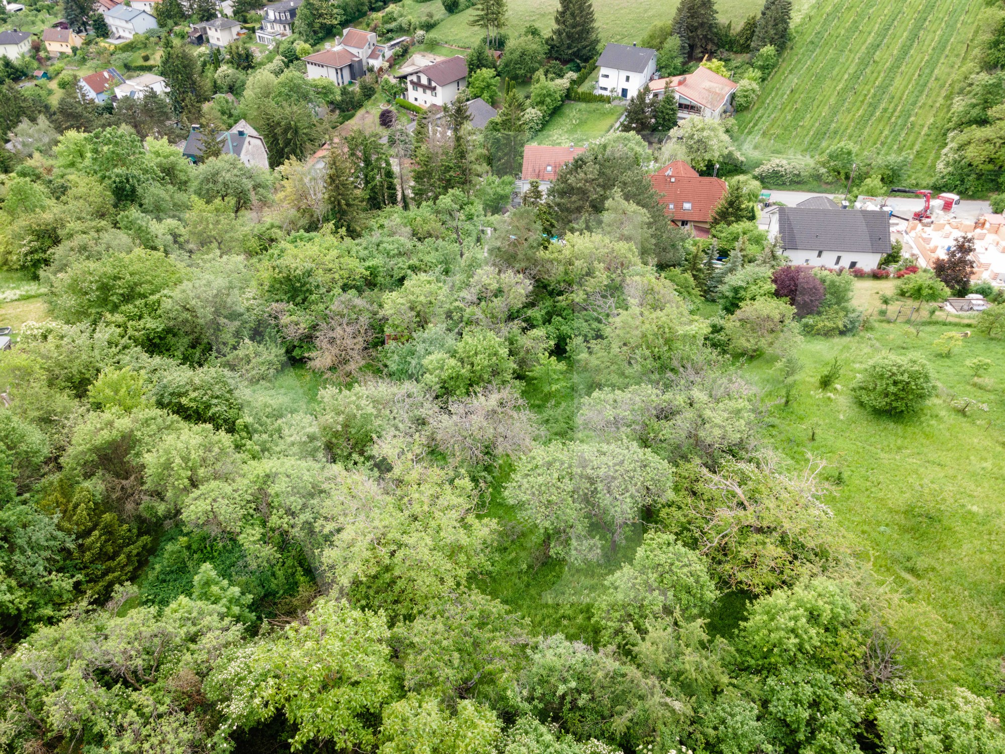 Uneinsichtige Traumlage mit Weitblick