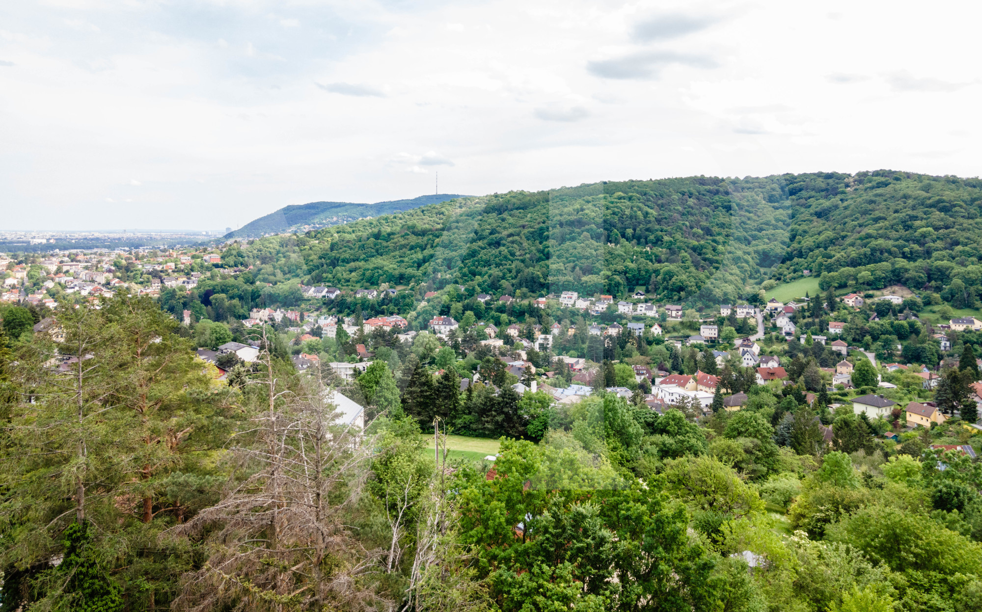 Am Ölberg - Exklusives, uneinsichtiges Grundstück in Klosterneuburg