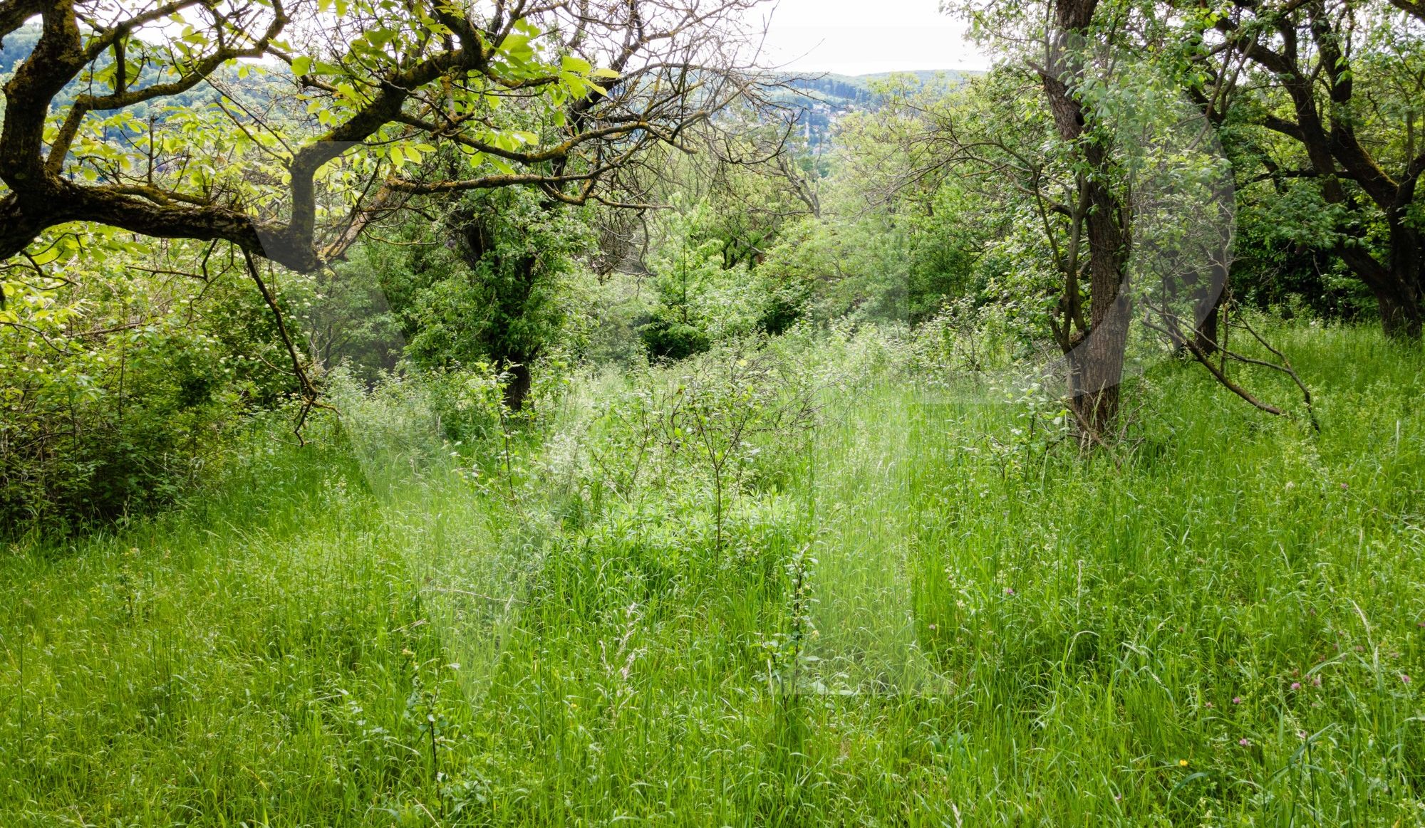 Lassen Sie Ihren Wohntraum wahr werden - am Ölberg in Klosterneuburg