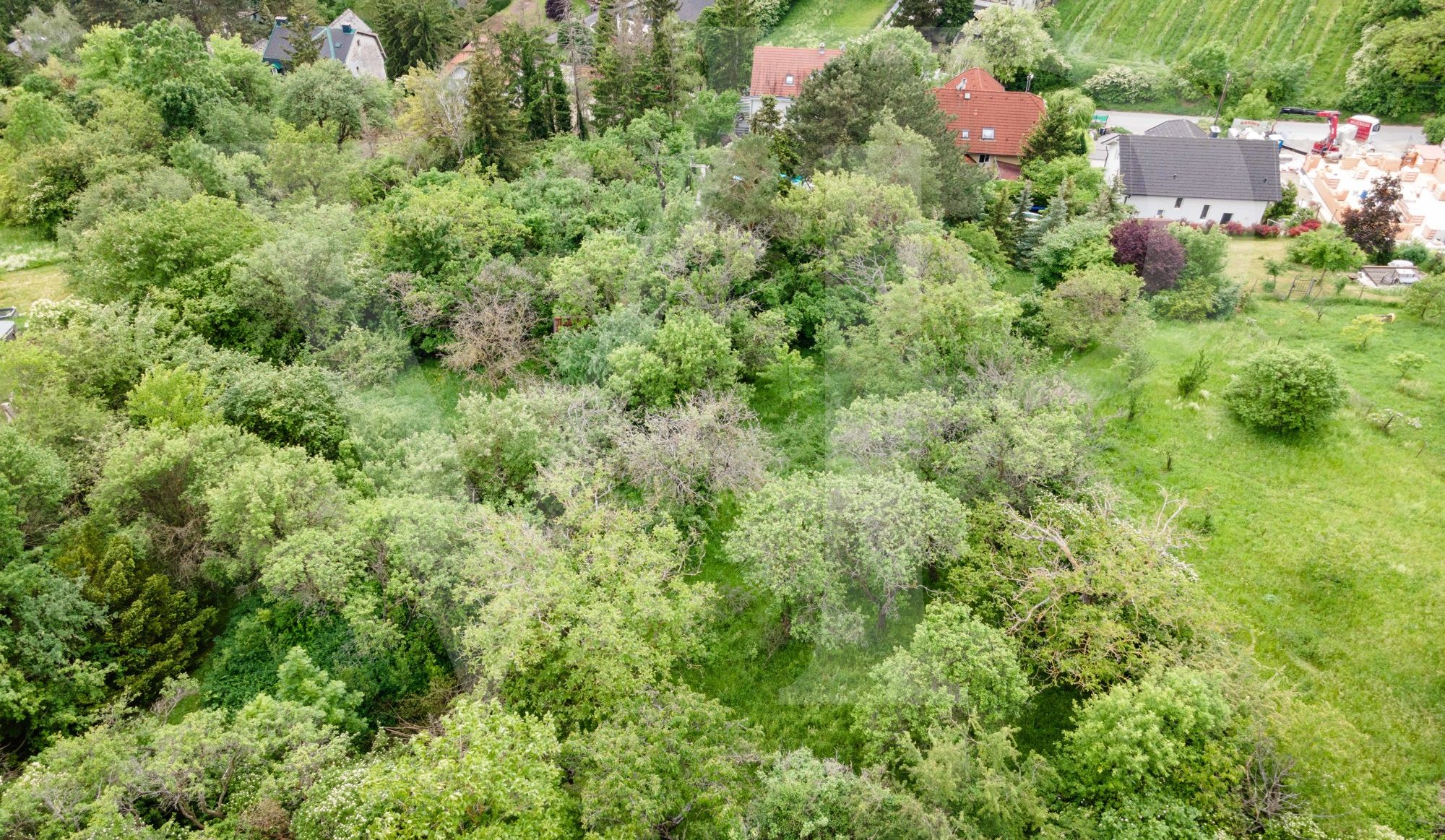 Lassen Sie Ihren Wohntraum wahr werden - am Ölberg in Klosterneuburg