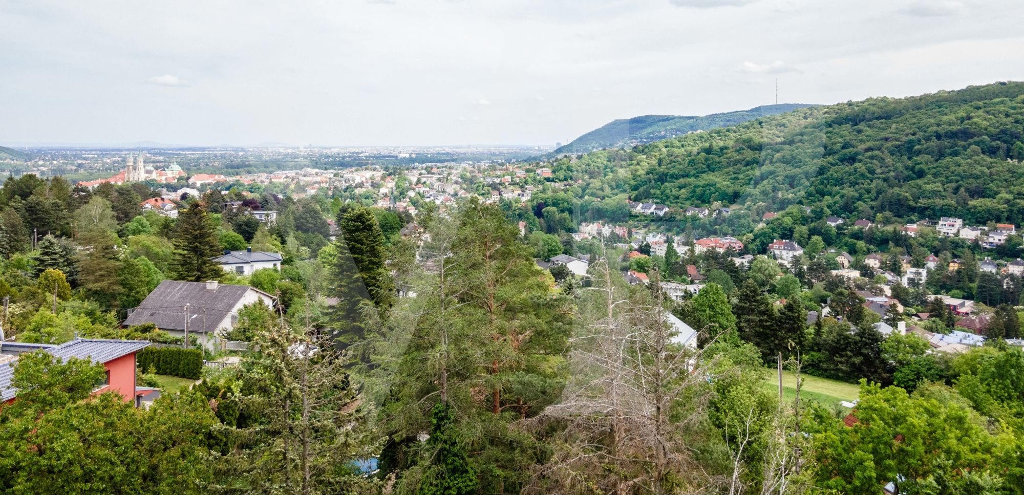 Lassen Sie Ihren Wohntraum wahr werden - am Ölberg in Klosterneuburg