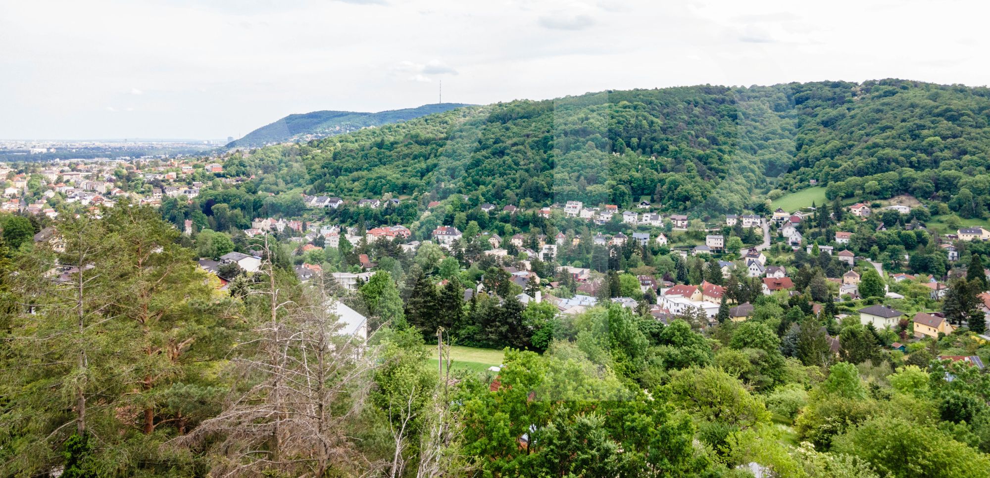 Lassen Sie Ihren Wohntraum wahr werden - am Ölberg in Klosterneuburg