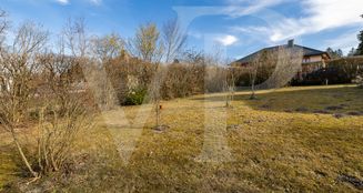 von_poll_real_estate_property_2025334504_image_6