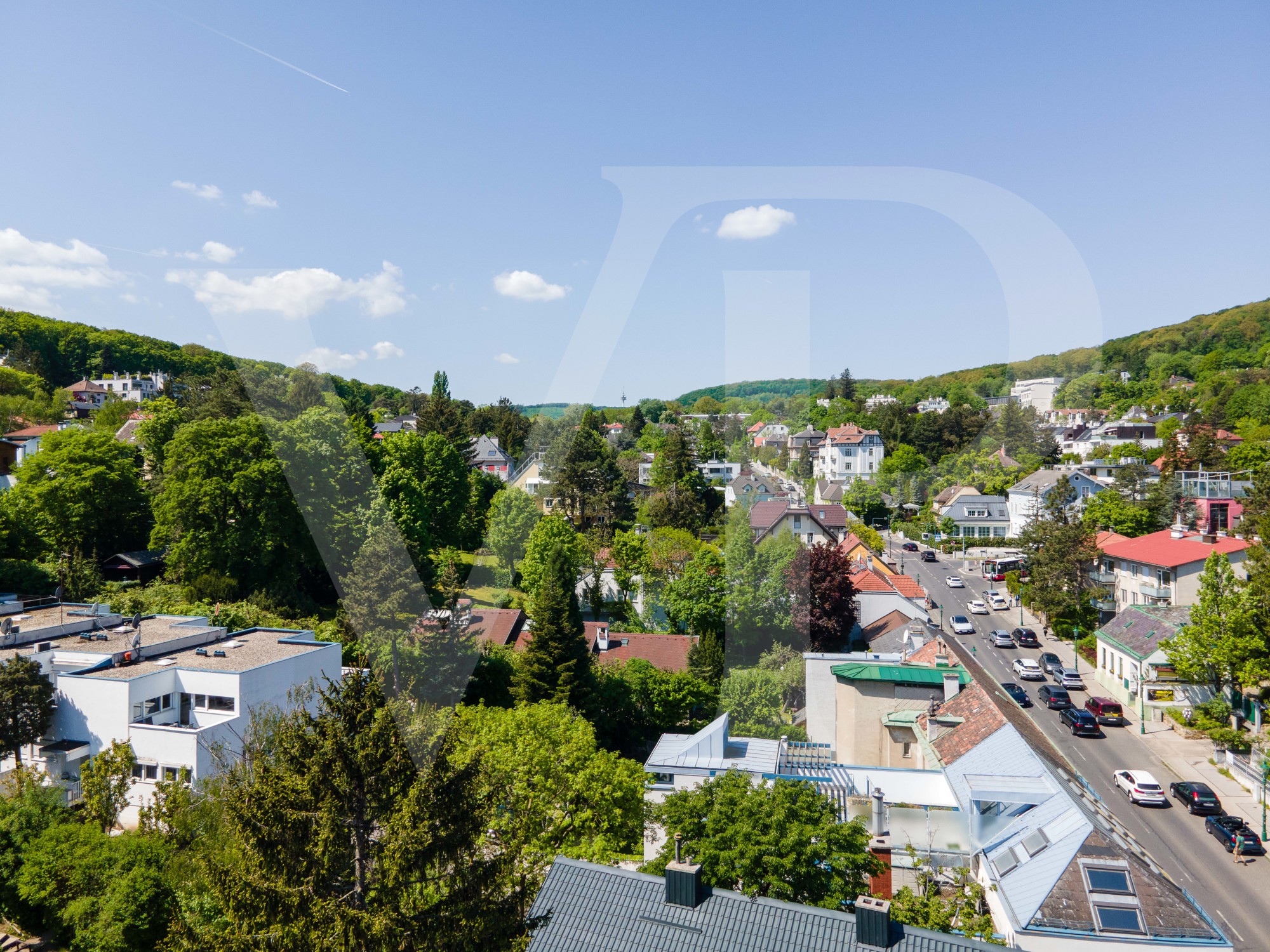 DJI_0821