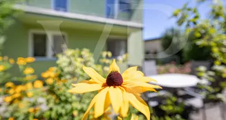 von_poll_real_estate_property_20253445010_image_2