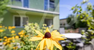 von_poll_real_estate_property_20253445010_image_2