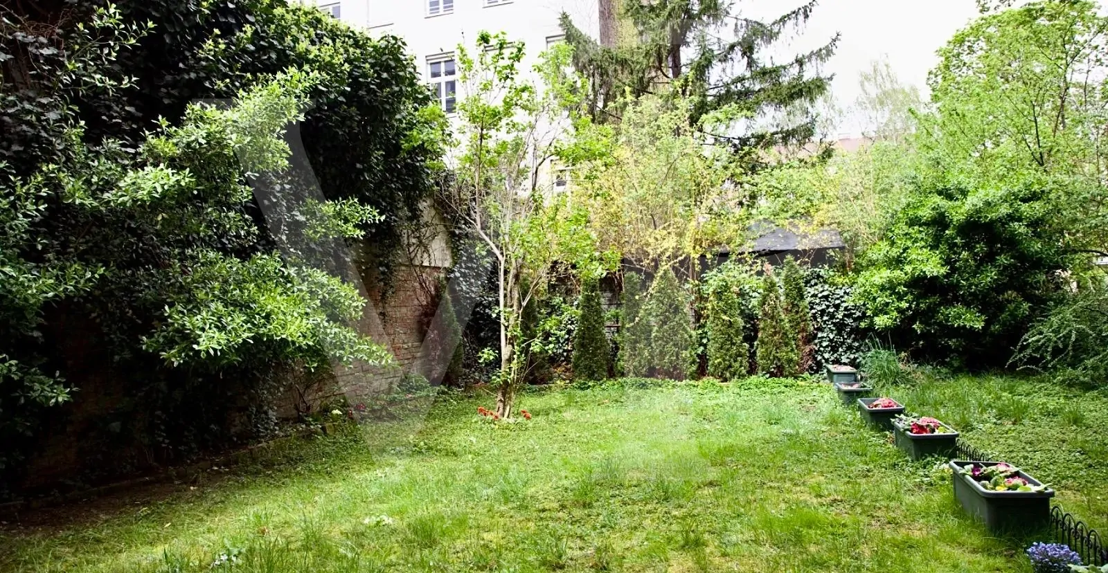 Ein Stück Natur in der Stadt – Gartenwohnung im 8. Bezirk