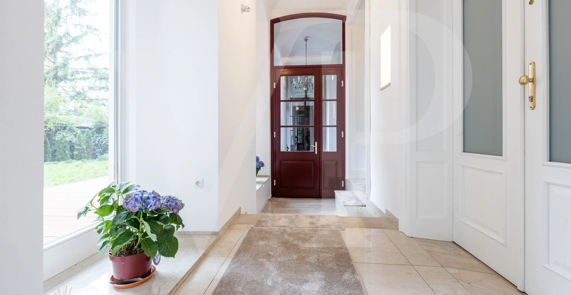 Ein Stück Natur in der Stadt – Gartenwohnung im 8. Bezirk