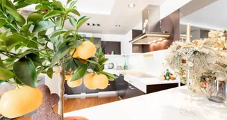 von_poll_real_estate_property_2025334520_image_7