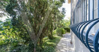 von_poll_real_estate_property_20253441019_image_25