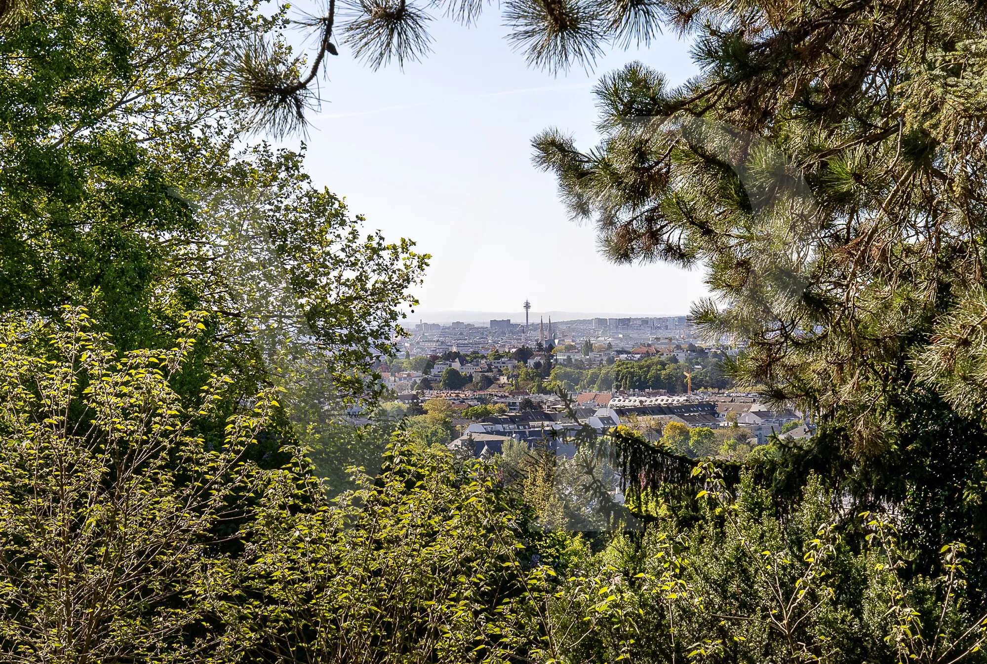 Villa idéalement située à Döbling avec un fort potentiel