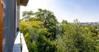 von_poll_real_estate_property_20253441019_image_9