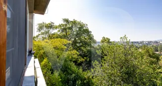 von_poll_real_estate_property_20253441019_image_9