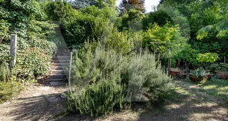 von_poll_real_estate_property_20253441019_image_12