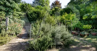 von_poll_real_estate_property_20253441019_image_12