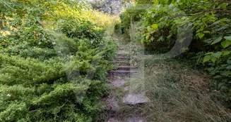 von_poll_real_estate_property_20253441019_image_15