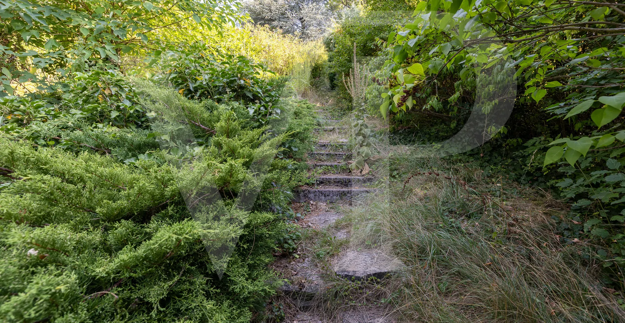 Villa in Döblinger Bestlage mit viel Potenzial