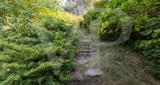 von_poll_real_estate_property_20253441019_image_15