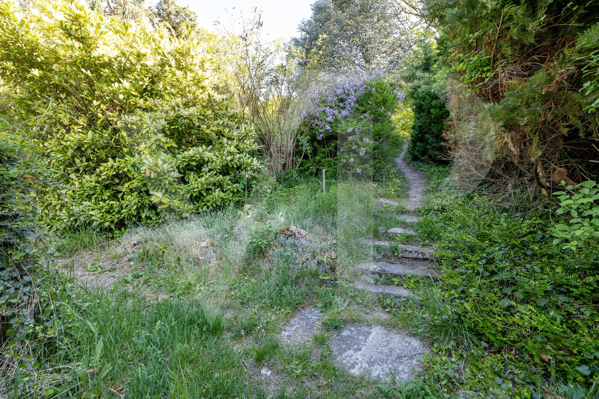 Terrain à bâtir avec vue sur Vienne, situé dans le quartier prisé de Döbling, idéal pour les visionnaires.