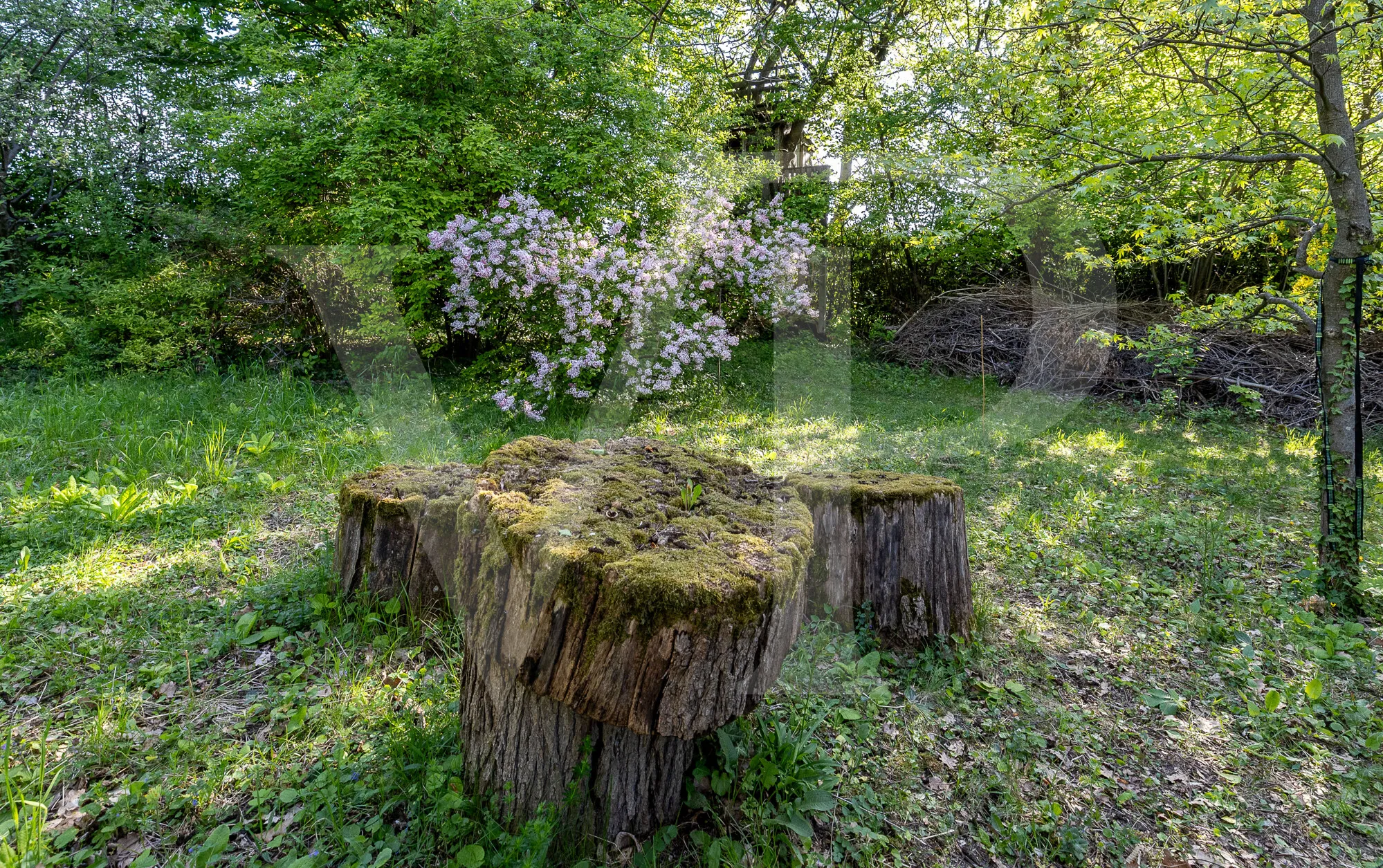 Terrain à bâtir avec vue sur Vienne, situé dans le quartier prisé de Döbling, idéal pour les visionnaires.