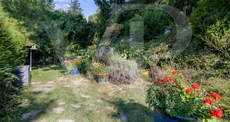 von_poll_real_estate_property_20253441050_image_8