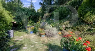 von_poll_real_estate_property_20253441050_image_8