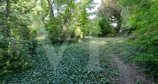 von_poll_real_estate_property_20253441050_image_12