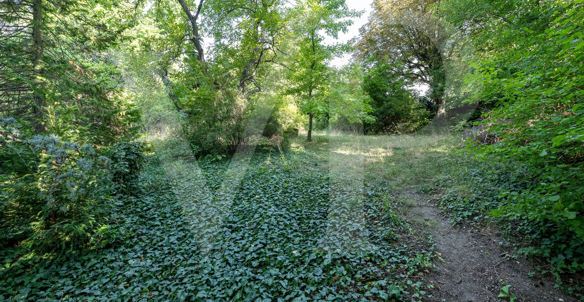 Villengrundstück mit Blick über Wien in Döblinger Bestlage für Visionäre