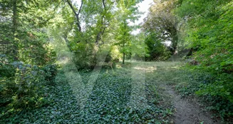 von_poll_real_estate_property_20253441050_image_12