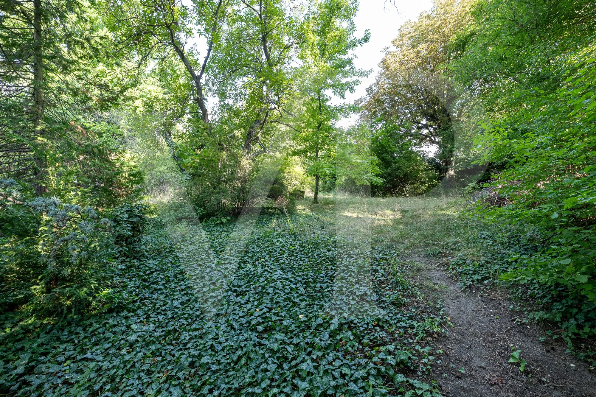 Villengrundstück mit Blick über Wien in Döblinger Bestlage für Visionäre