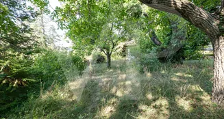 von_poll_real_estate_property_20253441050_image_13