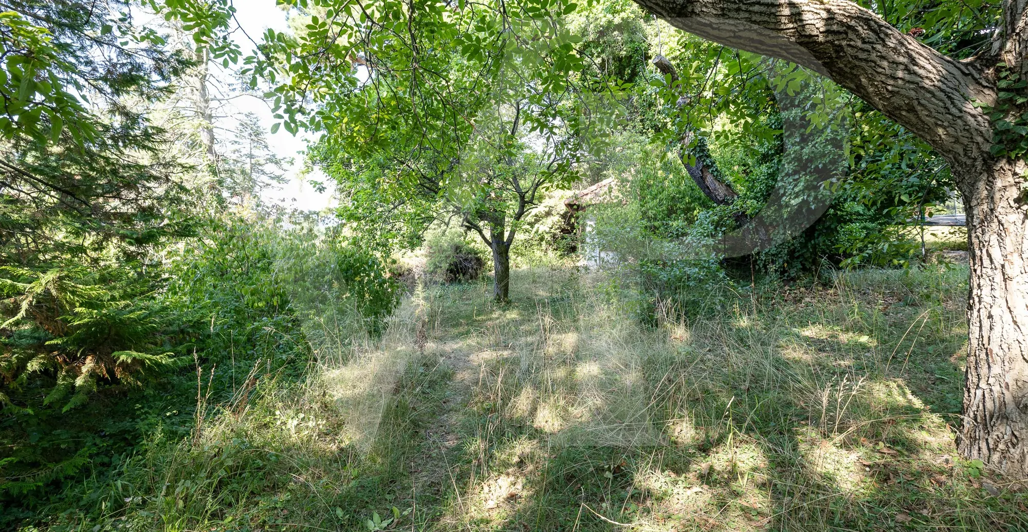 Villengrundstück mit Blick über Wien in Döblinger Bestlage für Visionäre