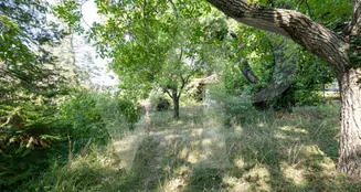 von_poll_real_estate_property_20253441050_image_13