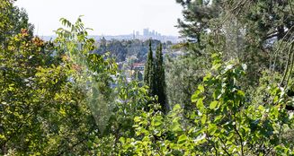 von_poll_real_estate_property_20253441050_image_14