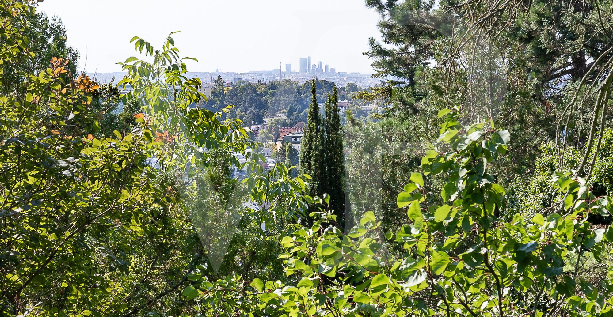 Villengrundstück mit Blick über Wien in Döblinger Bestlage für Visionäre