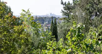 von_poll_real_estate_property_20253441050_image_14