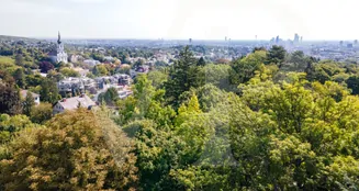 von_poll_real_estate_property_20253441050_image_4