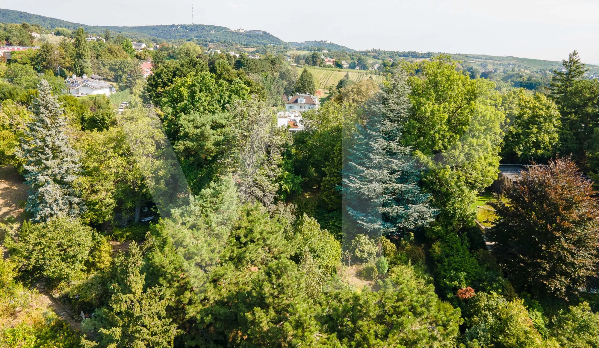 Villengrundstück mit Blick über Wien in Döblinger Bestlage für Visionäre