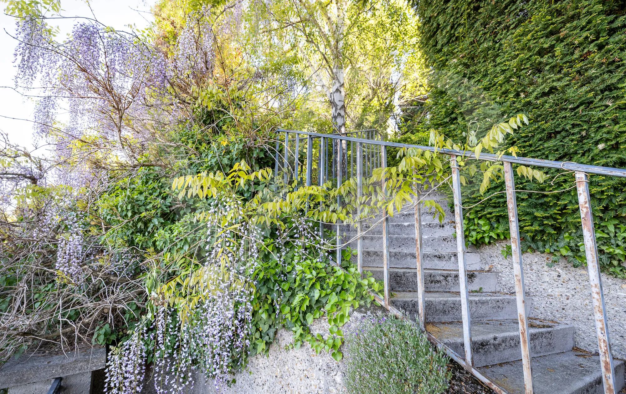 Terrain à bâtir avec vue sur Vienne, situé dans le quartier prisé de Döbling, idéal pour les visionnaires.