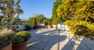 von_poll_real_estate_property_20253441060_image_13