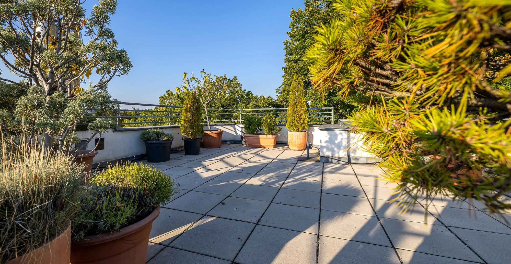 Exklusives lichtdurchflutetes Terrassen-Penthouse in Wien Döbling