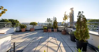 von_poll_real_estate_property_20253441060_image_11