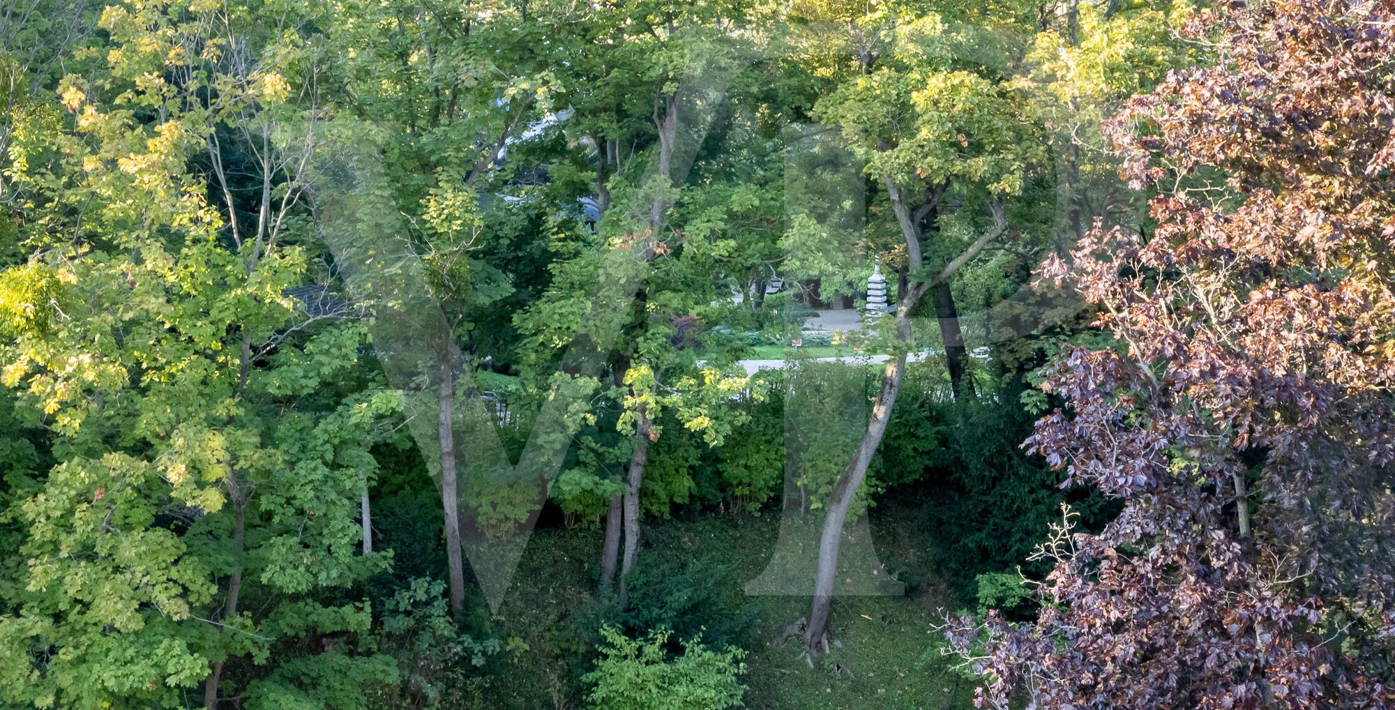 Exklusives lichtdurchflutetes Terrassen-Penthouse in Wien Döbling