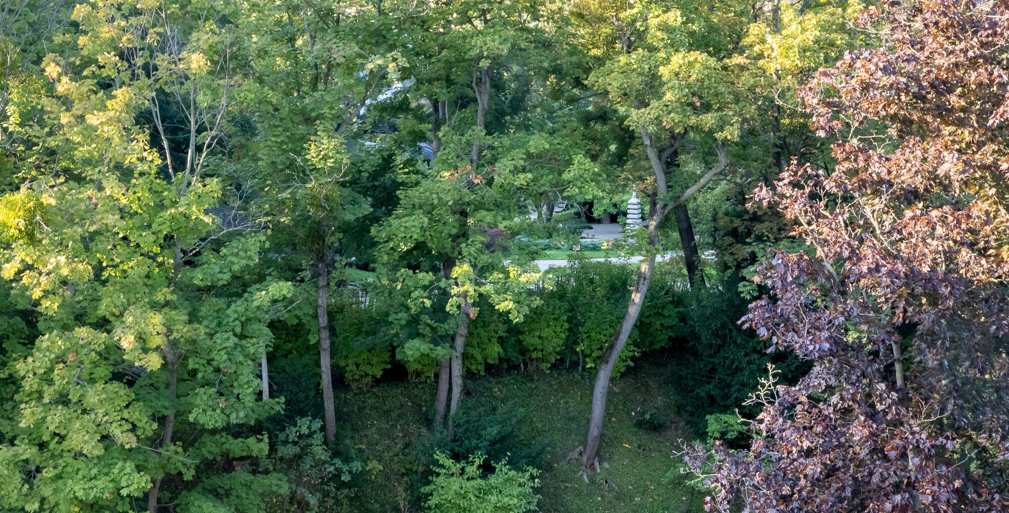 Exklusives lichtdurchflutetes Terrassen-Penthouse in Wien Döbling